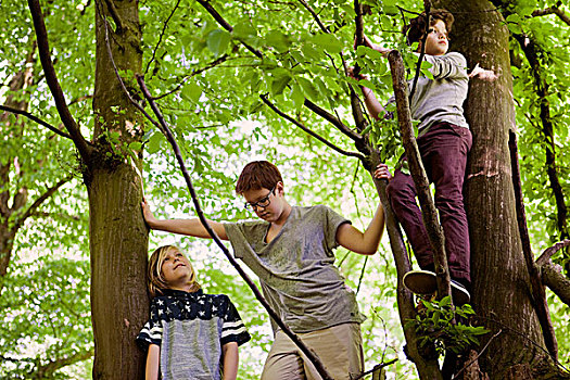 三个男孩,攀登,树