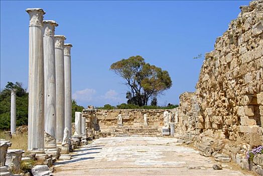 古老,柱子,体育馆,墙壁,遗迹,意大利腊肠,塞浦路斯北部