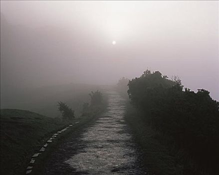 冬天,雾,小路,爱丁堡