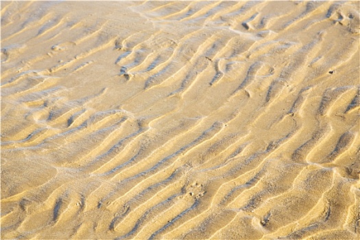 沙丘,非洲,褐色,海岸线,湿,靠近,大西洋