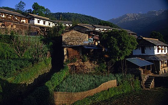 房子,乡村,尼泊尔