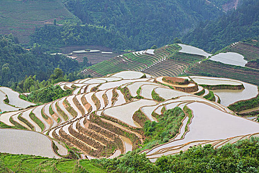 桂林龙胜梯田