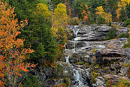 秋天,州立公园,新罕布什尔,美国