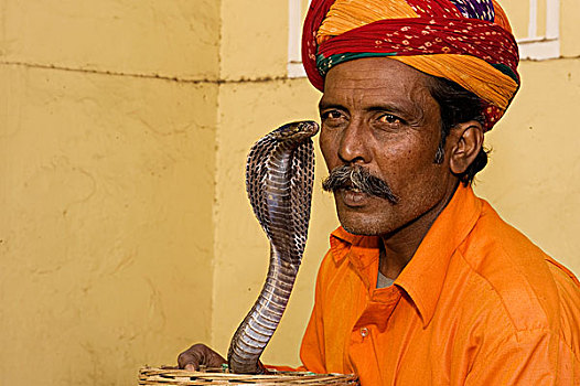 眼镜蛇,耍蛇,斋浦尔,拉贾斯坦邦,印度