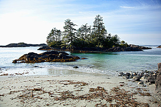 漂亮,海滩,靠近,温哥华岛,不列颠哥伦比亚省,加拿大