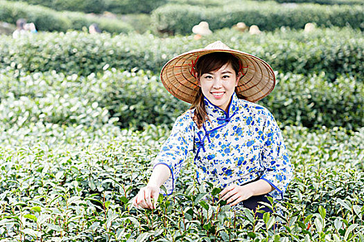 亚洲人,漂亮,女孩,种植园