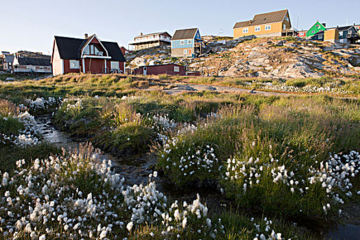 家,建筑,伊路利萨特,格陵兰