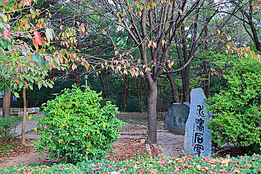 锦江山公园