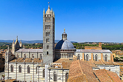 锡耶纳,圆顶,大教堂,中央教堂,意大利
