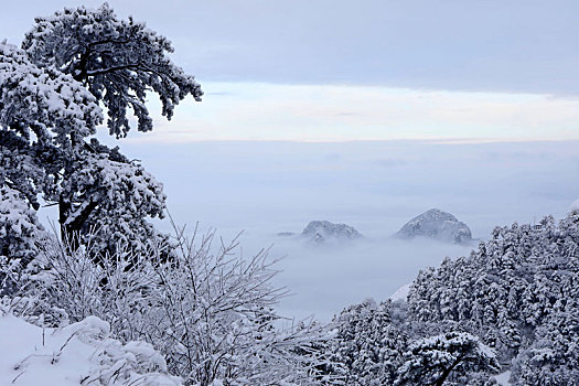 雪后华山宛如画