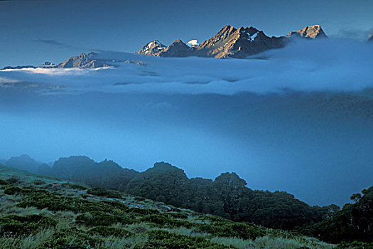 雾,钥匙,顶峰,峡湾国家公园,南岛,新西兰