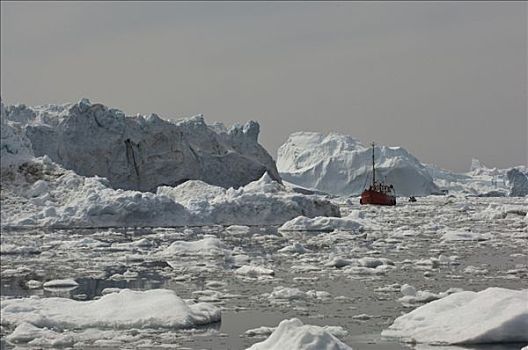 冰山,迪斯科湾,靠近,伊路利萨特,西部,格陵兰