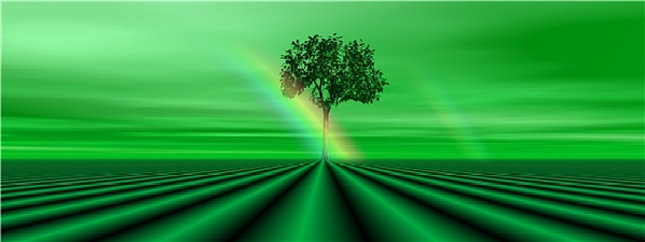 绿色,树,彩虹