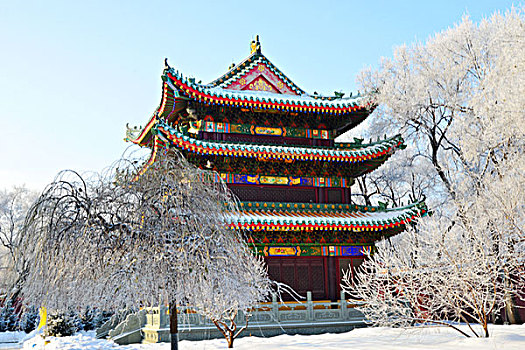 黑龙江大庆,油城雾凇美景