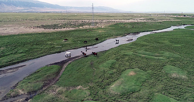 新疆巴里坤,草原上的曲流