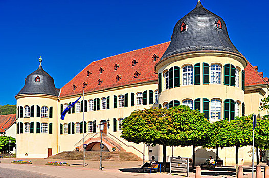 城堡,坏,自然保护区,莱茵兰普法尔茨州,德国,欧洲
