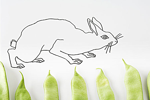 兔子,走,新鲜,豌豆荚