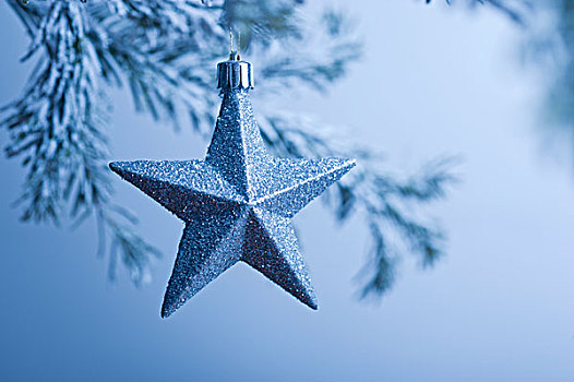 星形,圣诞饰品,悬挂,枝条