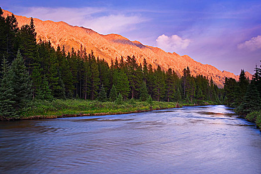 山,日落,麋鹿,河,湖,省立公园,不列颠哥伦比亚省,加拿大