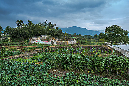 安徽黄山市黟县卢村风光