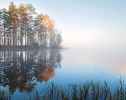 安静,湖,风景,雾,寒冷,秋天,早晨