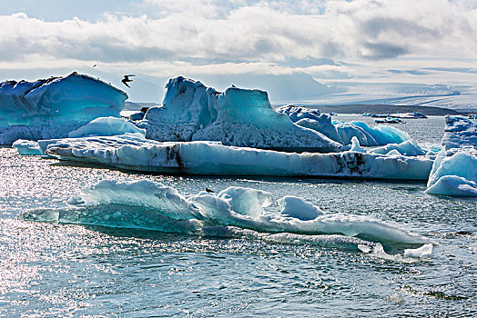 杰古沙龙湖,冰河,泻湖,冰岛