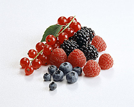 种类,蓝莓,树莓,黑莓,红醋栗