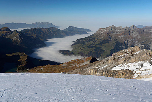 风景,上方,海洋,雾,山,奥伯瓦尔登,瑞士,欧洲