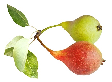 两个,成熟,梨,水果,隔绝,白色背景