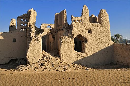 历史,砖坯,遗址,老城,区域,阿曼苏丹国,阿拉伯,中东