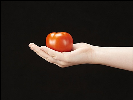 孩子,手,西红柿,手掌,面对,向上