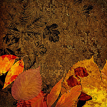 艺术,金色,叶子,秋天,背景,卡片
