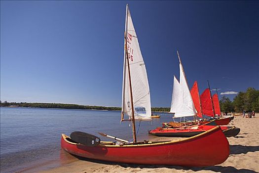 航行,独木舟,海滩,安大略省,加拿大