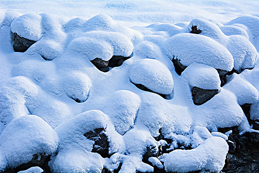 厚厚的积雪堆积成的大雪球