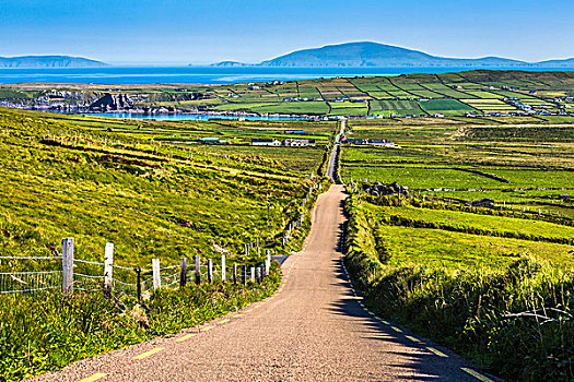 道路,景色,俯视,斯凯利格,海岸,克俐环,凯瑞郡,爱尔兰