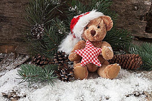 圣诞节,安放,泰迪熊