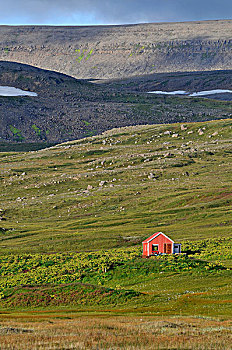 小屋,冰岛,欧洲