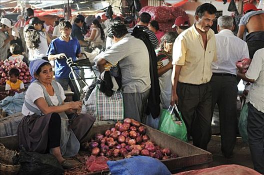 女人,销售,洋葱,市场,玻利维亚,南美