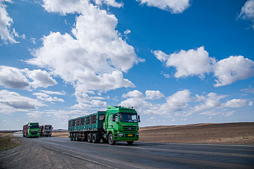 奔驰在新疆g216线国道上的大货车