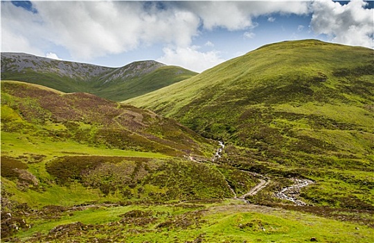 高地,苏格兰,自然,风景