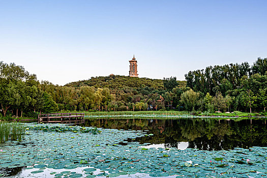 中国长春净月潭国家森林公园风景