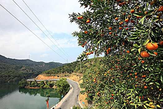 阳江,阳春市