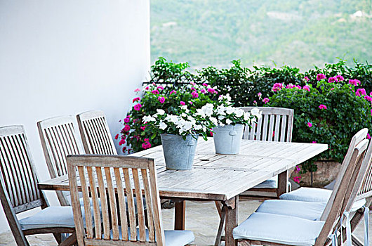 盆花,庭院桌