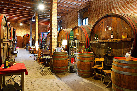 桶,地窖,葡萄酒厂,马希地区,意大利,欧洲