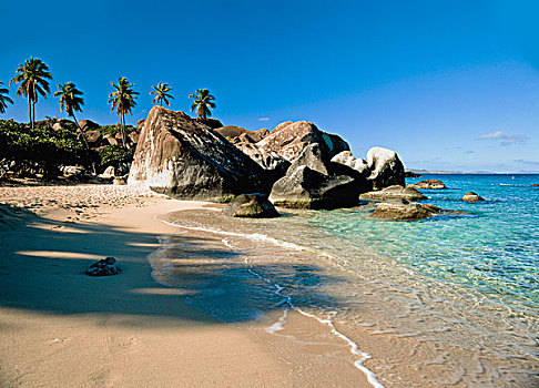 漂石,棕榈树,热带沙滩