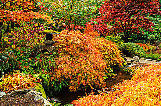 秋色,宝翠花园,维多利亚,温哥华岛,不列颠哥伦比亚省,加拿大