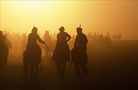 蒙古,喀喇昆仑,马,牧人,家,节日