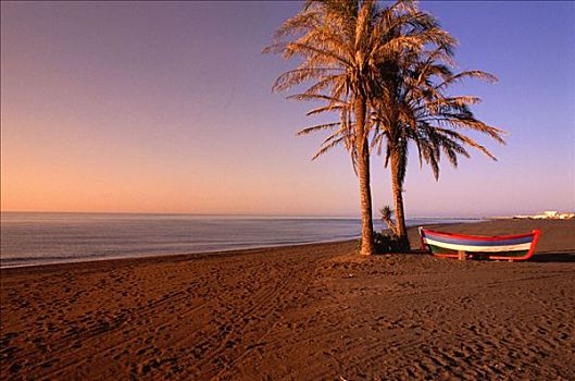 海滩,棕榈树,船,哥斯达黎加,西班牙