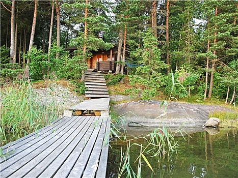 小,树林,湖,区域,芬兰
