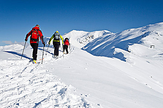 越野滑雪者,山,高处,山谷,远眺,滑雪,区域,意大利,欧洲